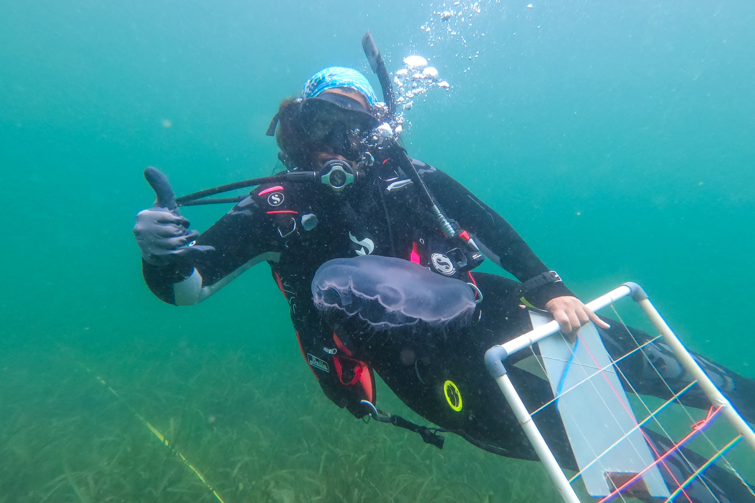 Carolina Cesar under water