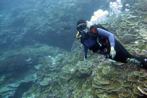 Nancy Knowlton under water