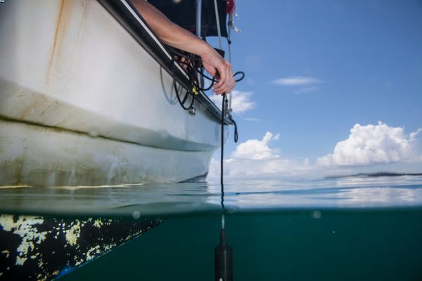 Researchers using sonde