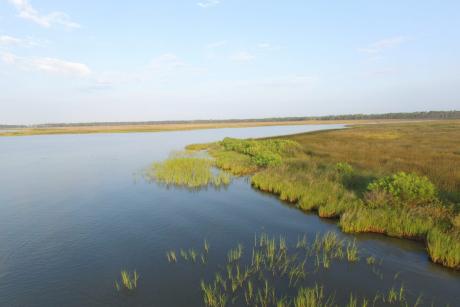 Dauphin island