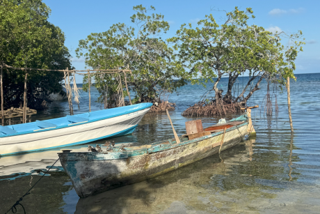 Boat located near shore