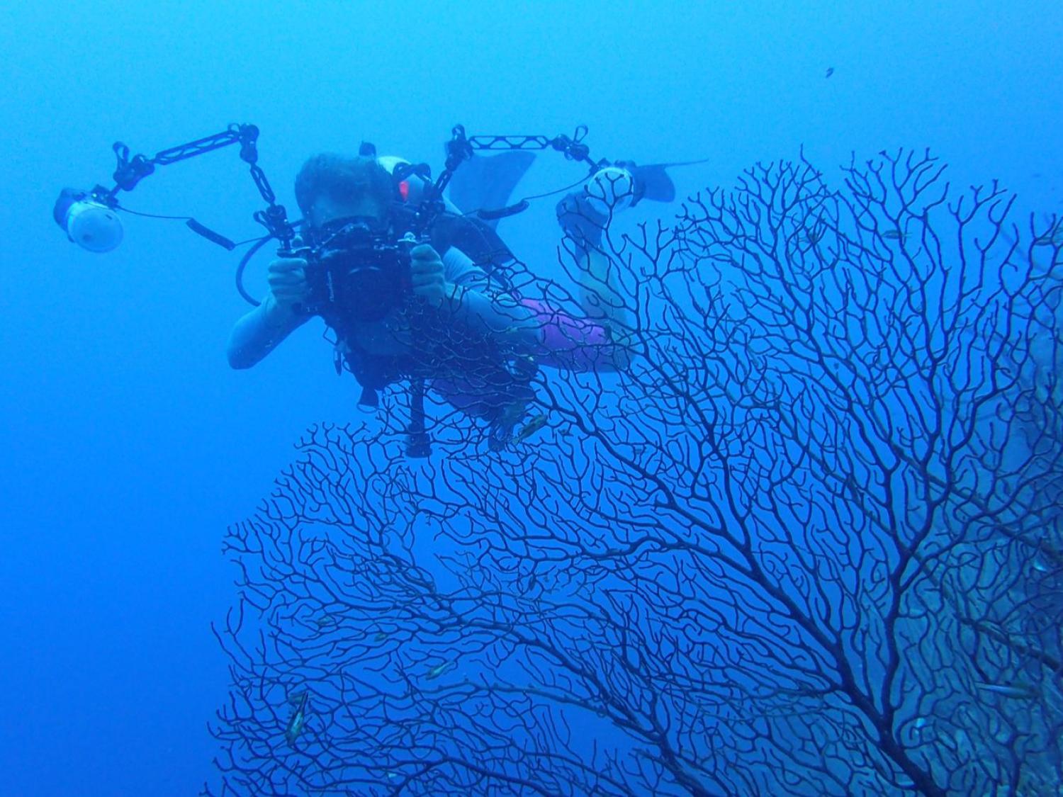 Underwater photographer