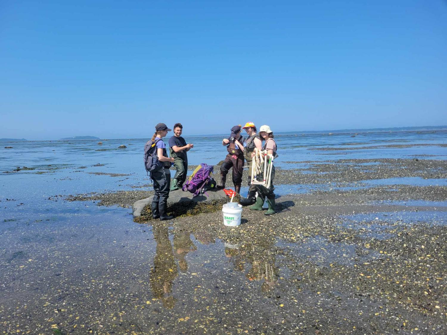 Interns and studients after field work in July 2023     From left to right : Lauriane Belles-Îsles (graduate studient in oceanography), William Larouche (undergraduate intern in biology), Charlie Laforme (undergraduate intern in biology), Brigitte Légaré (PhD studient in geography), Sidonie Goyault (international internship in biology)   July 5th 2023, Rimouski, Marie-Pomme Presne-Poissant 
