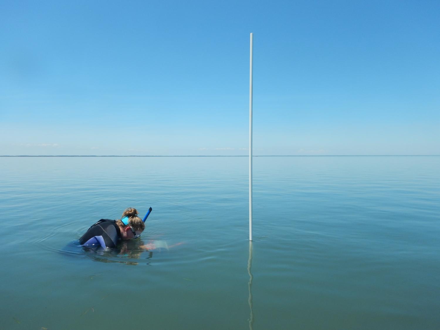 Aly Hall doing fieldwork at CEEL