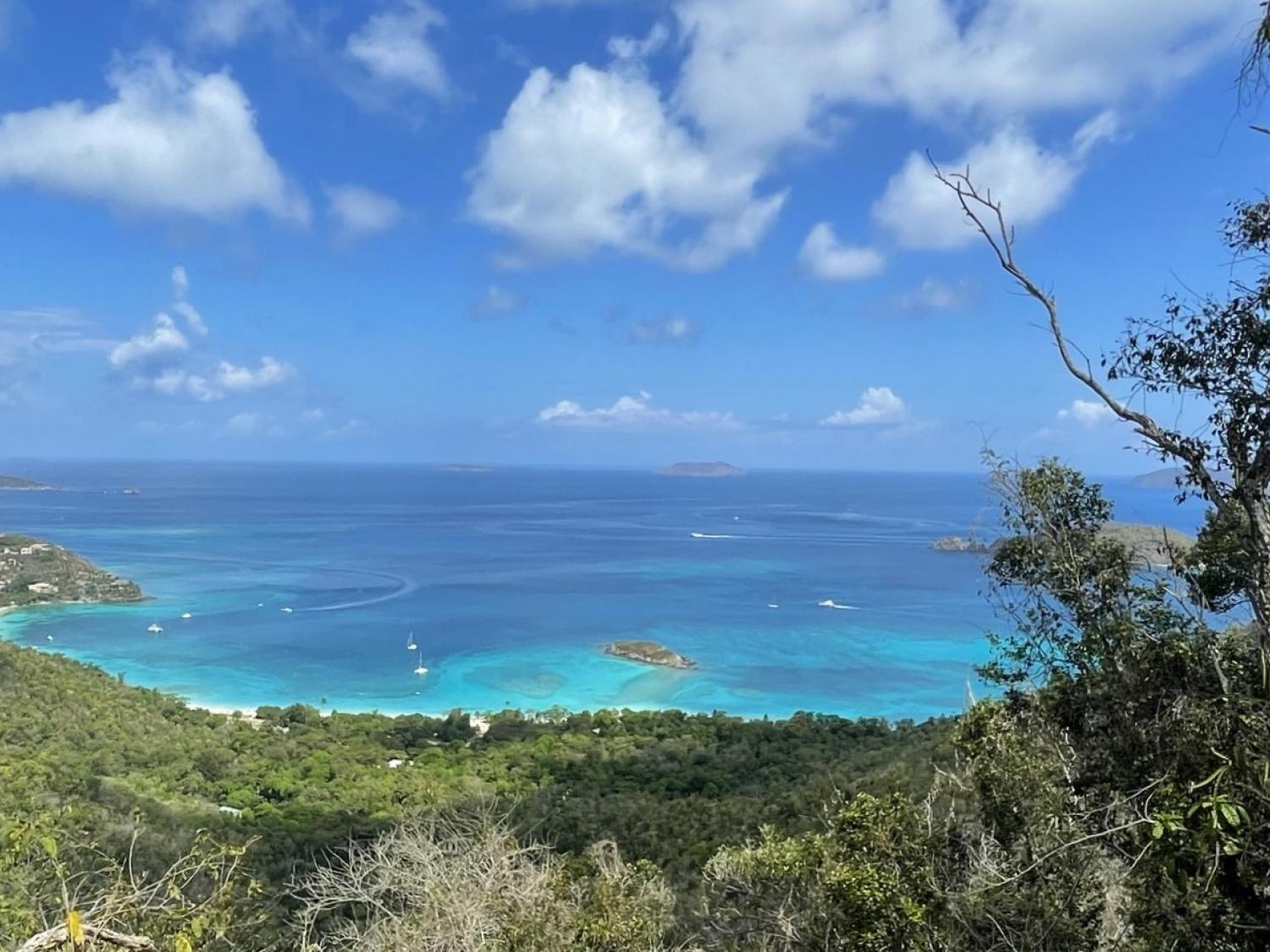 View overlooking Cinnamon Bay on St. John.