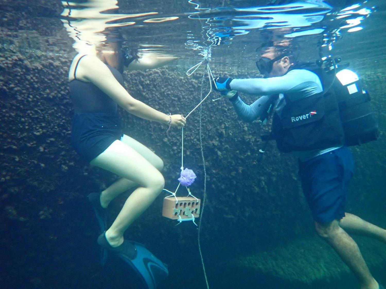 Farah and Mahdi deploying the plates from a large ship that is grounded in the shallow waters of Kuriat Island due to its size