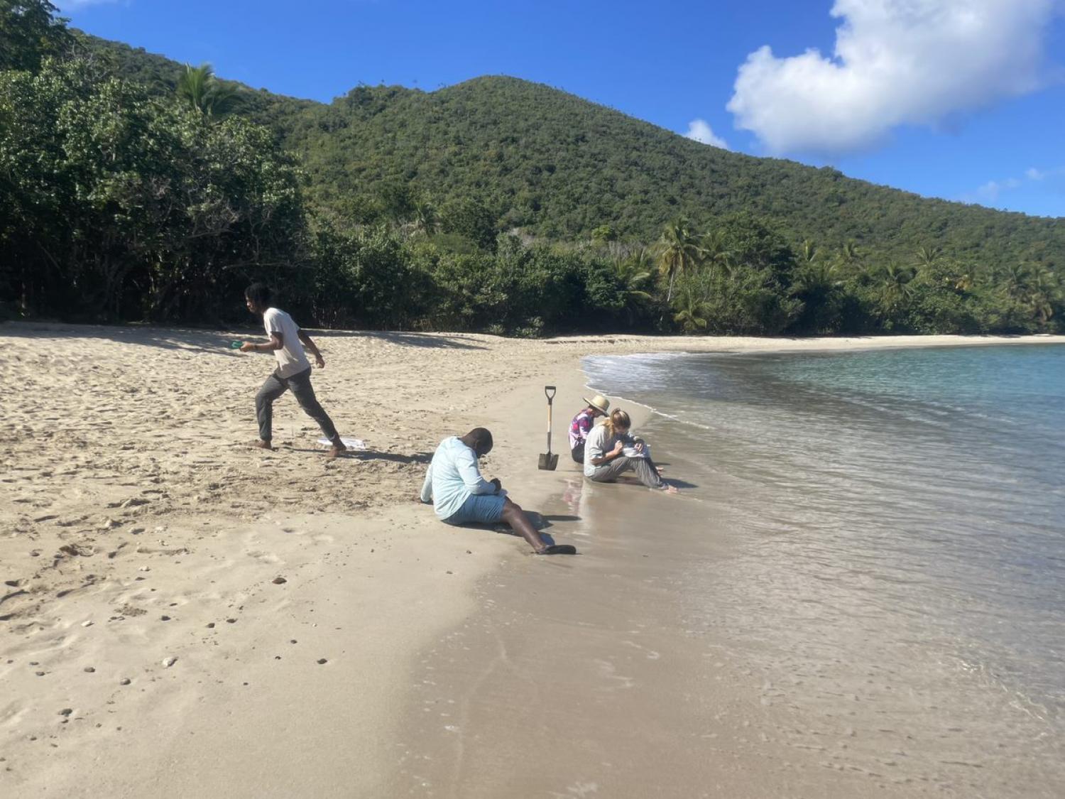 Sandy beach biodiversity assessment, Neltjeberg Bay, St, Thomas, USVI.