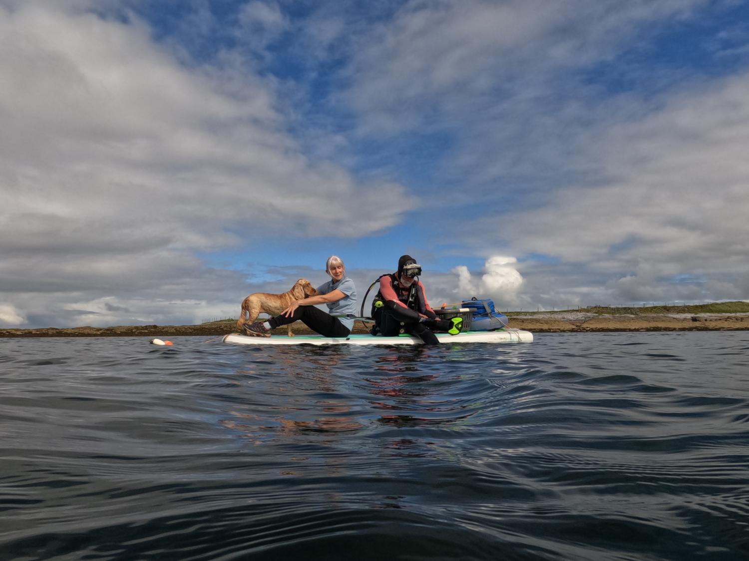 Ed, Noirin, and Buffy the dog conducting seagrass surveys (Photo courtesy of Trisha O’Halloran) 