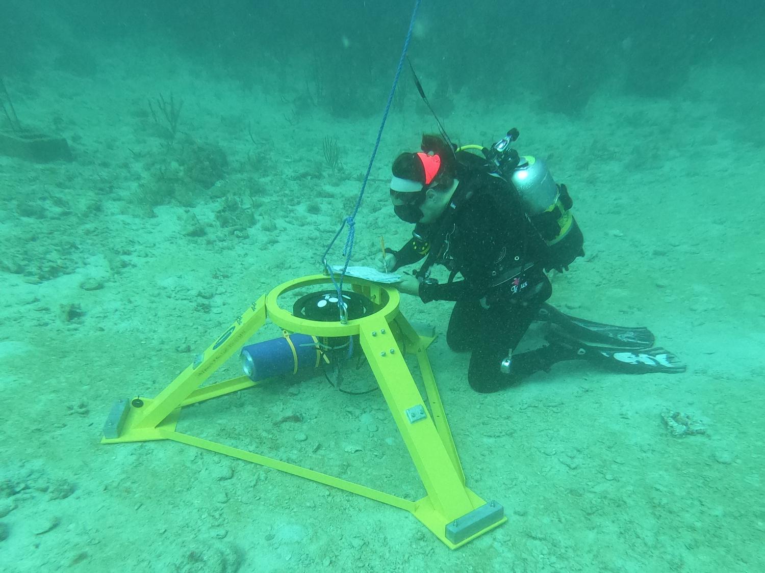 Dr. Kayla Blincow recording data after deploying an ADCP at a field site on St. John
