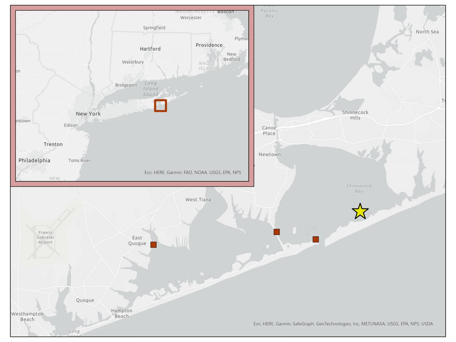 Map of site (Courtesy of Morreale)