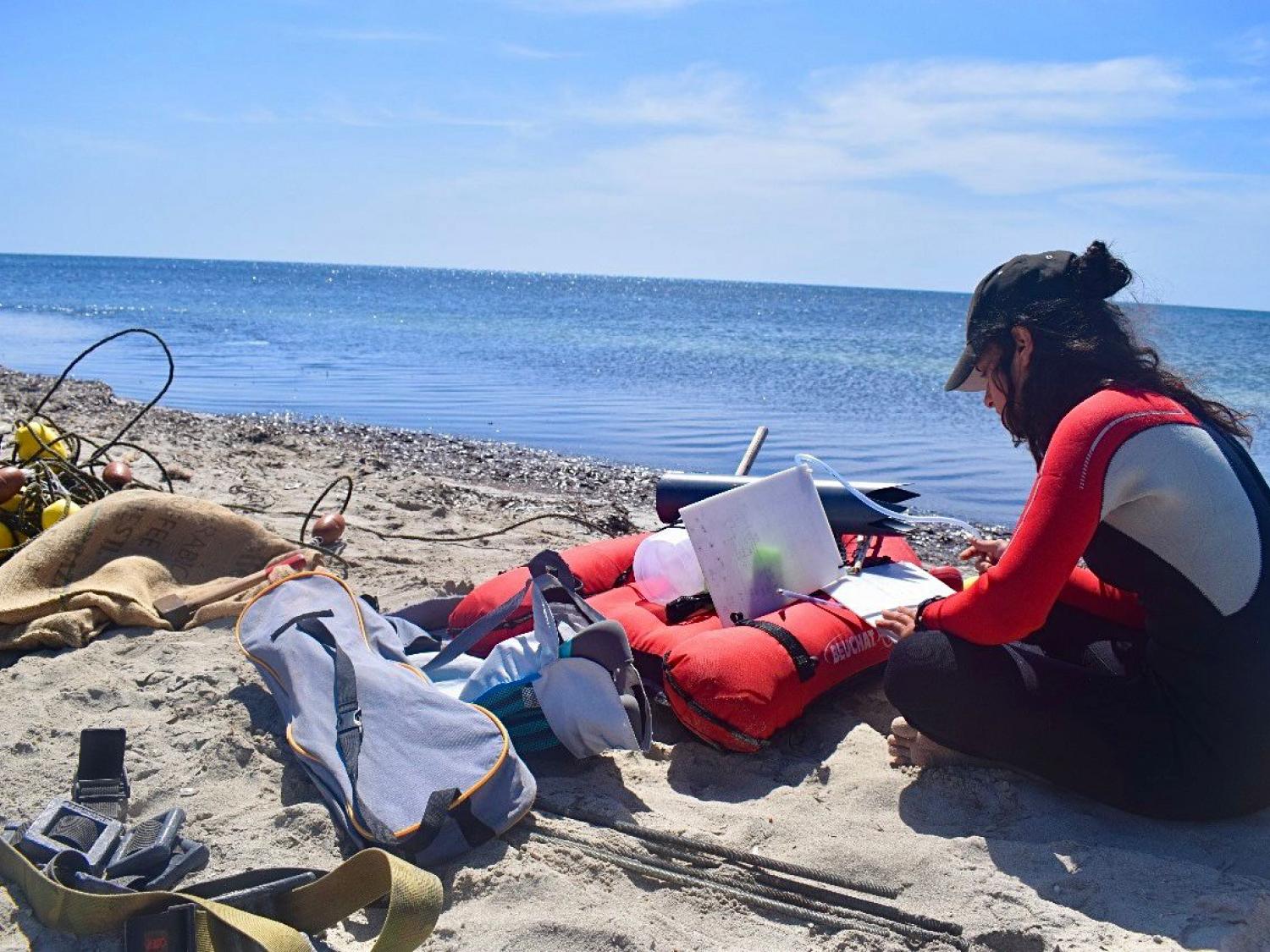 Ramla preparing for a long transect at Kuriat Island to monitor the invasion of Caulerpa species