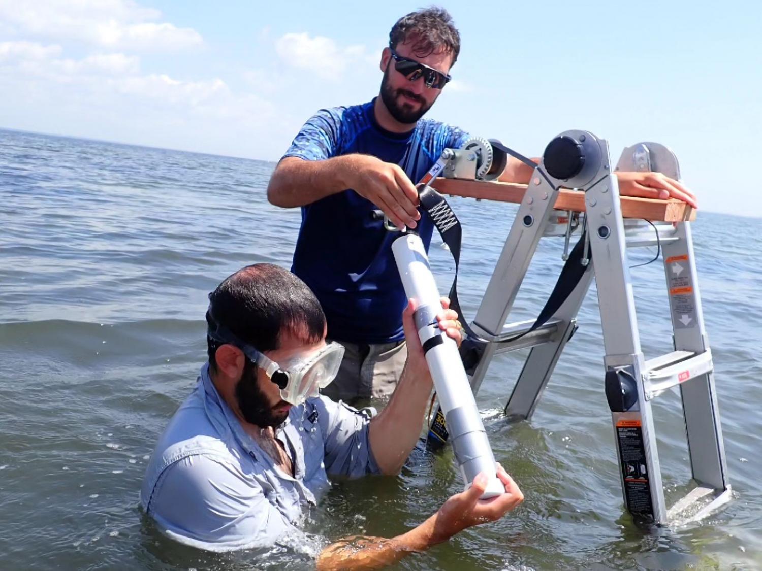 Seagrass sediment coring