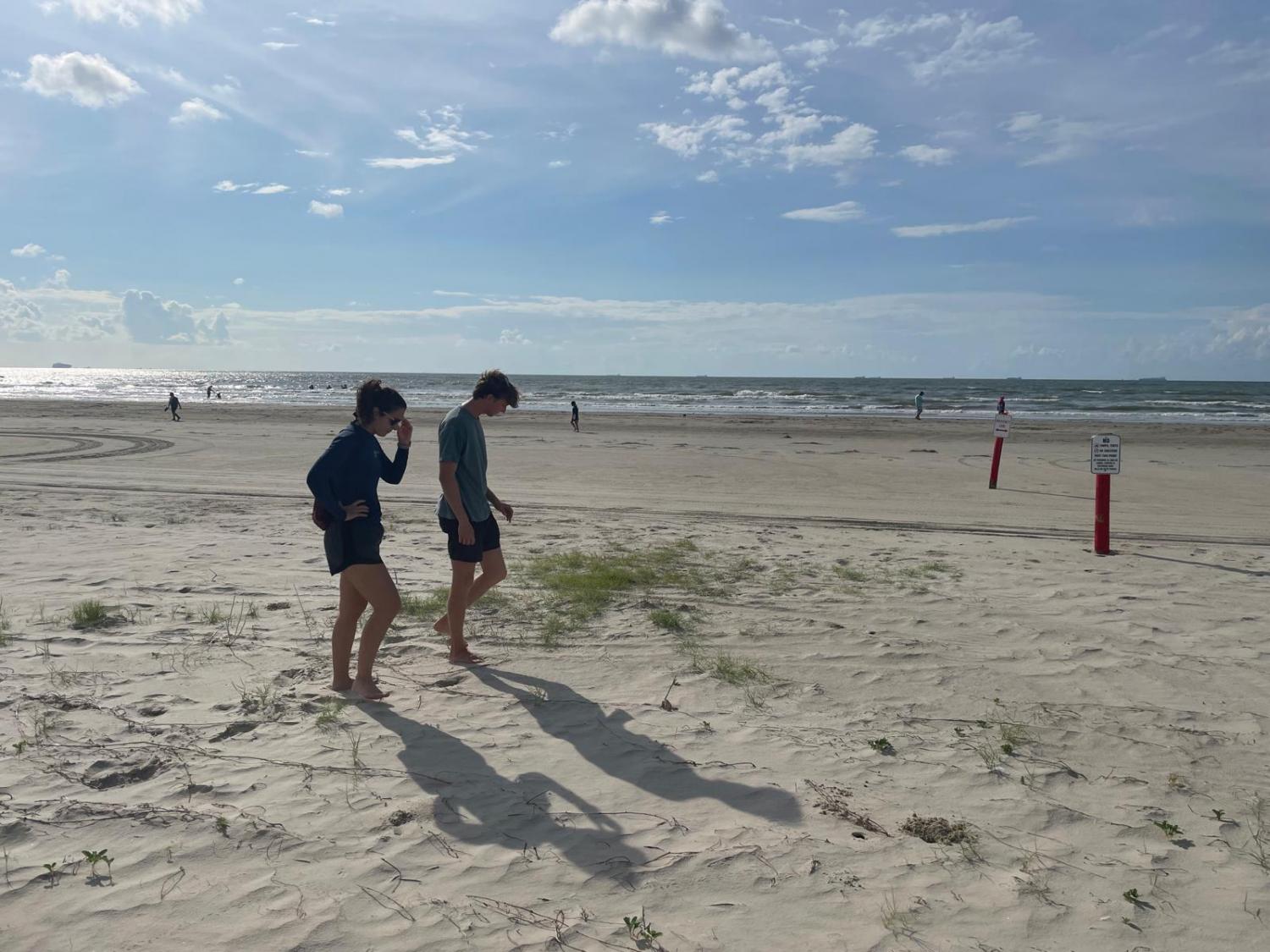 Survey happening at galveston beach