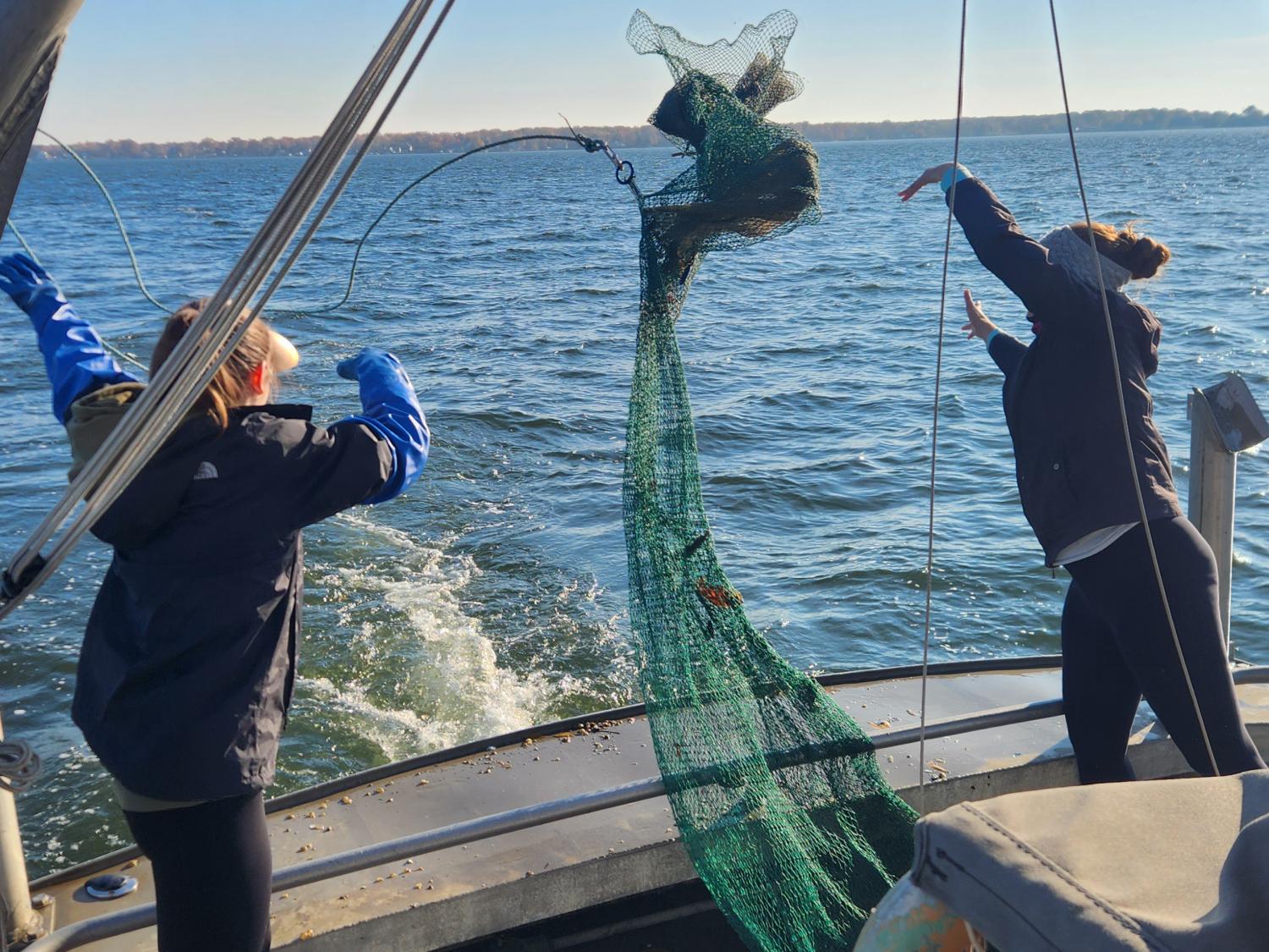 Trawl at Upper Chesapeake Bay site